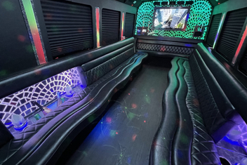 Idaho Falls Limo Bus Interior