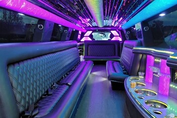 Idaho Falls Limo Interior